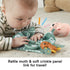 Fisher Price Sensimals Gift Set